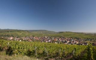 Valorisons le terroir Alsacien