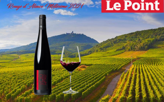 Le Point "Le spécial Vins"