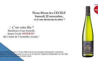 Sainte-Cécile : Nous célébrons les Cécile ce samedi 22 novembre