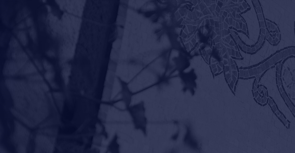 Retrouvez nos cuvées dans notre boutique